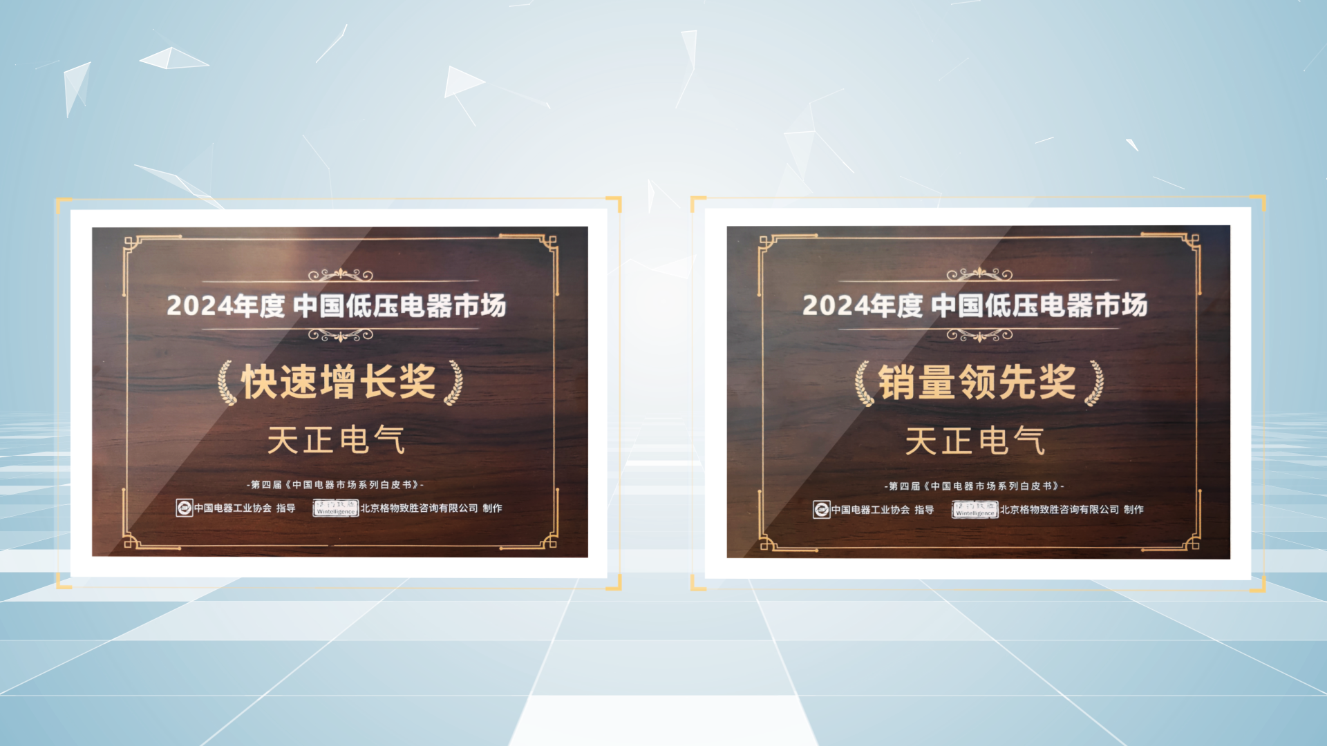 销量领先、快速增长丨3044am永利荣膺2项行业年度大奖